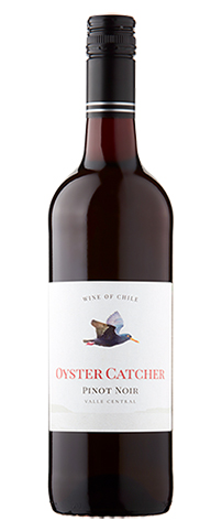 Oyster Catcher PN 483